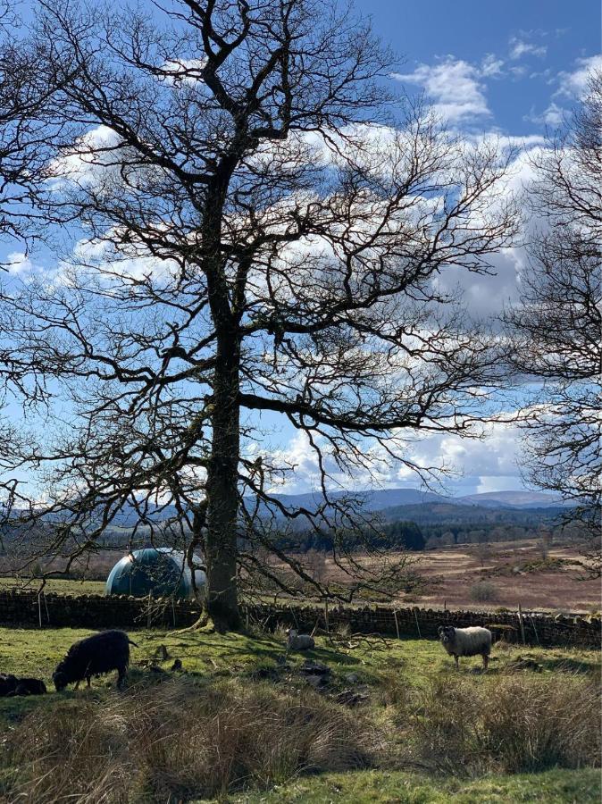 Hotel Cardross Estate Glamping Pods Stirling Zewnętrze zdjęcie